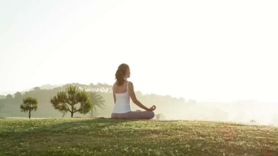 229004306-結跏趺坐-瞑想-ボデイコンシヤス-マヨルカ