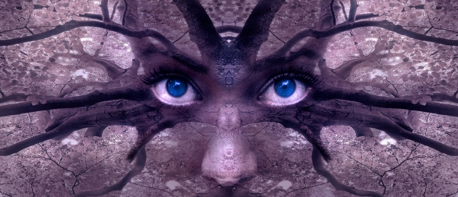 fantasy-2824654_192028129